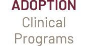 Adoption Clinical Programs